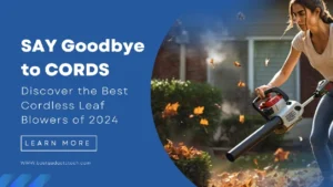 Read more about the article Say Goodbye to Cords: Discover the Best Cordless Leaf Blowers of 2024